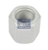 RENAULT 5003032261 Spring Clamp Nut